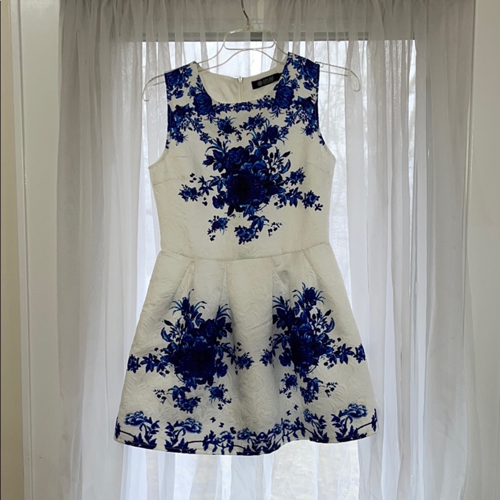 White & Blue Dress